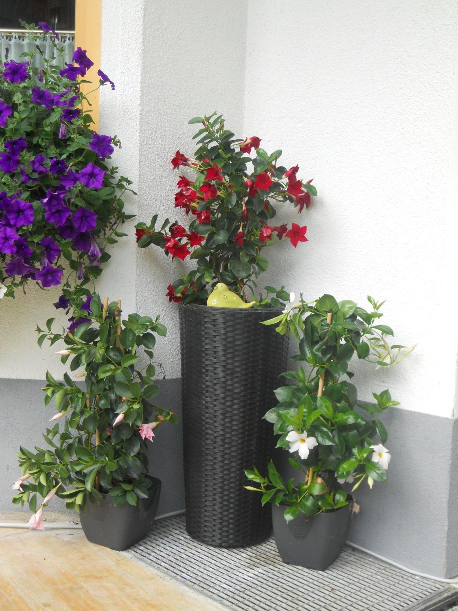 Harmonie Apartamento Kaunertal
